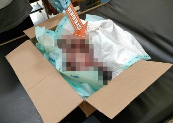 Teduga Kasus Pembuangan Mayat Bayi di Kuripan Berhasil diamankan Polisi