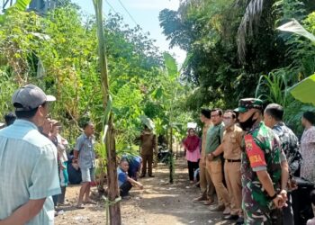 Kecewa tak Kunjung di Aspal, Warga Tanam Pisang di Ruas Jalan