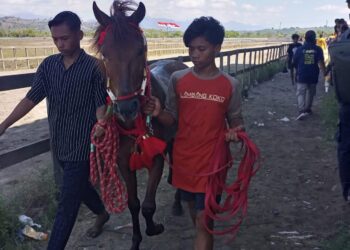 Laporan Joki Cilik Ke Polda NTB Disayangkan Banyak Pihak