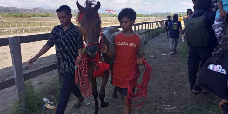 Laporan Joki Cilik Ke Polda NTB Disayangkan Banyak Pihak