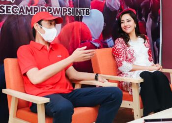 Terkait Kasus Fihirudin, Dian Sandi Minta DPR Lebih Bijak Menjelang Pileg