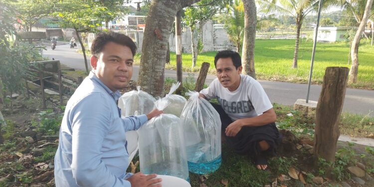 Ribuan Bibit Ikan dibagi oleh FKD Kecamatan Kopang, Guna Mendukung Ketahanan Pangan