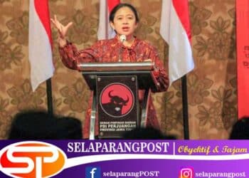 Rencana Kunjungan Puan disambut Baik Pihak Demokrat