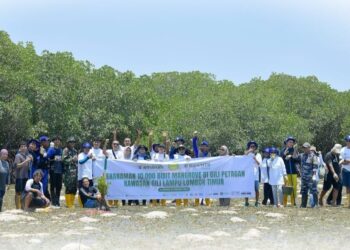 Bank NTB Syariah dan YPPKL Sambelia Tanam 10 Ribu Bibit Mangrove di Gili Petagan