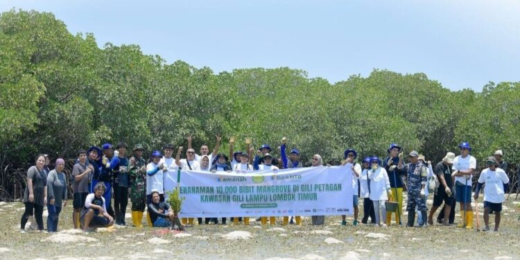 Bank NTB Syariah dan YPPKL Sambelia Tanam 10 Ribu Bibit Mangrove di Gili Petagan