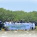 Bank NTB Syariah dan YPPKL Sambelia Tanam 10 Ribu Bibit Mangrove di Gili Petagan