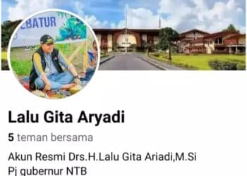 Akun Facebook Fake