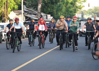 Presiden RI Joko Widodo