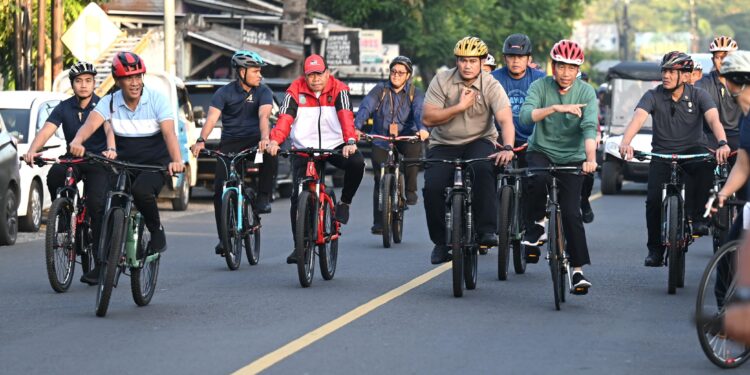Presiden RI Joko Widodo