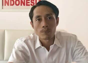 Dian Sandi