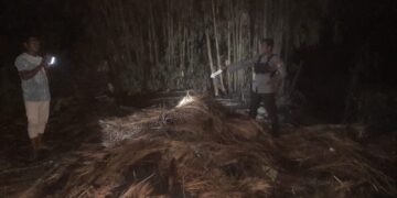 Insiden Kebakaran Di Montong Baan Selatan