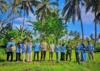 KKN UNW Mataram Desa Denggen Timur, Tanam 1000 Bibit Pohon Untuk Masa Depan Hijau