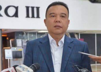 Sufmi Dasco Kalrifikasi Ucapan Prabowo Pada Moment HUT Gerindra