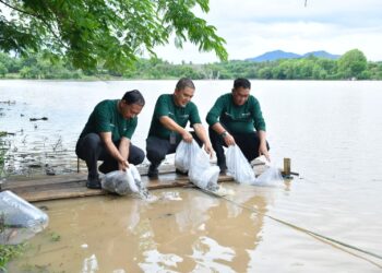 Wujudkan Filosofi “Berkah Bermakna”, Bank NTB Syariah Gelar Aksi Pelestarian Lingkungan di Bendungan Penyaring Sumbawa