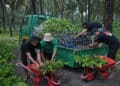Jelang HUT-67 Kabupaten Sumbawa Bank NTB Syariah Serahkan Fasilitas Nursery Farm untuk Kelestarian Lingkungan