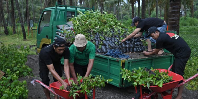 Jelang HUT-67 Kabupaten Sumbawa Bank NTB Syariah Serahkan Fasilitas Nursery Farm untuk Kelestarian Lingkungan