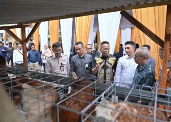 Program Desa Berdaya NTB