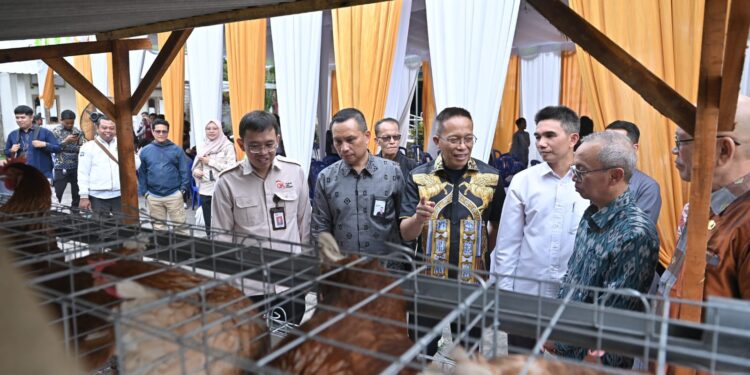 Program Desa Berdaya NTB