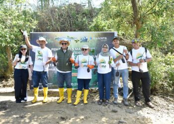 Peringati Hari Mangrove Sedunia dan HUT ke-62, Bank NTB Syariah Tanam Mangrove di Kawasan Ekowisata Paremas